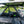 Rear Dust Panel W/ Window Kaw Krx