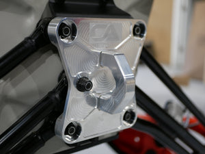 Can-Am X3 GEN 2 Pull Plate - Dunes 2 Dezert SXS