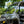 SuperATV Can-Am Defender power flip glass windshield kit components