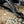 2024+ Can-Am Maverick R Rear Trailing Arms | SuperATV