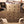 Polaris Ranger Midsize 570/500 Full Skid Plates | Trail Armor - Dunes 2 Dezert SXS
