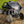 SuperATV CFMOTO ZForce Z10 rear windshield detail view