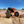 8  Portal Dual Idler 50% Gear Reduction Can Am