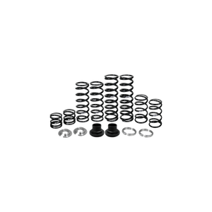 ZBroz Dual Rate Spring Kit – RZR XP 4 1000/Turbo - Dunes 2 Dezert SXS