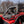 SuperATV Honda Talon 1000X / 1000R Primal Soft Upper Doors, detail view
