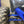 PRO XP- Sport Bumper - Dunes 2 Dezert SXS