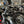 Polaris RZR XP Turbo Charge Tube – 2016-2021 | Treal Performance