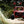 HCR Polaris RZR Pro R Turbo R Race Series front A-arms