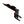 RZR Pro XP/Pro XP 4 PRO MAX HC Trailing Arm Kit | ZBroz Racing