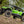 SuperATV Kawasaki Teryx H2 heavy-duty nerf bars detail view