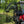 SuperATV Kawasaki Mule Pro FX / FXT Cab Enclosure Doors, installed view