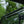 SuperATV Kawasaki Mule Pro FX / FXT Cab Enclosure Doors, detail view