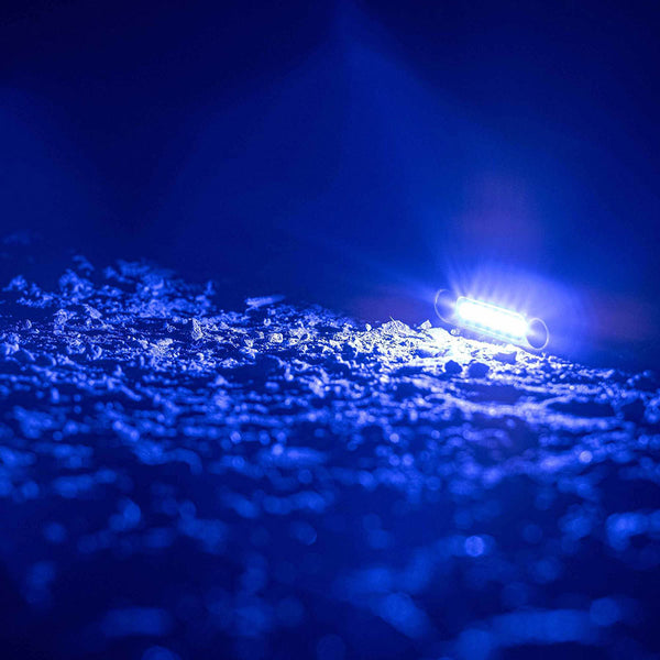 Micro Billet LED Rock & Dome Light – 200 Lumens - Dunes 2 Dezert SXS