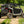 SuperATV Polaris RZR Pro XP 4 / Pro R 4 / Turbo R 4 Aluminum Doors, rear view
