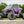 SuperATV Polaris RZR Pro R Hard Cab Upper Doors, open door view
