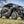 SuperATV Polaris RZR XP / XP 4 Tree Kickers, rear view