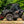 RZR XP 1000 Hard Upper Doors – All-Season Cab Kit - Dunes 2 Dezert SXS