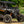 2024+ Polaris RZR XP Half Windshield | SuperATV