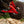 RZR XP Sidewinder 1.5
