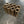 Maverick X3 Front A Arm Bushing Pins, set of 8