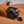 SDR Polaris Pro R-2 Shorty Cage (2025) - Dunes 2 Dezert SXS