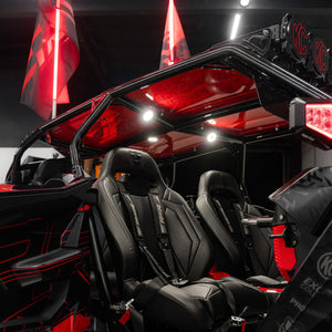 SDR Pro R-4 Fastback Shorty Cage (2025) - Dunes 2 Dezert SXS
