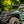SuperATV MaxDrive power flip glass windshield on a Can-Am Commander, cab view
