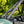 SuperATV MaxDrive power flip glass windshield on a Can-Am Commander, hardware detail