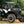 SuperATV flip down glass windshield on a Can-Am Maverick Sport, side view