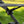 SuperATV MaxDrive Power Flip windshield on a Can-Am Maverick X3, detail view