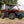 SuperATV flip windshield on a CFMOTO U10 Pro, side view
