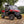 SuperATV flip windshield on a CFMOTO U10 Pro, alternate angle