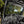SuperATV glass windshield on a CFMOTO U10 Pro, mounted view