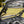 SuperATV flip windshield on a CFMOTO ZForce 950 Trail, top view