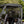 SuperATV light-tint rear windshield, roof and cage close-up