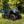 SuperATV full windshield on a Honda Pioneer 520, angle view