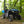 SuperATV half windshield on a Honda Pioneer 520, angle view