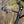SuperATV flip windshield on a Honda Pioneer 700, detail view