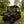 SuperATV rear windshield on a John Deere Gator 835, angle view