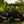 SuperATV rear windshield on a John Deere Gator 825i, angle view