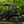 SuperATV rear windshield on a John Deere Gator 825i, side view