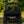 SuperATV rear windshield on a John Deere Gator 825i, installed close-up