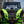SuperATV flip windshield on a Kawasaki Teryx H2, side view