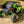 SuperATV rear windshield on a Kawasaki Teryx H2, detail view