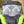 SuperATV vented windshield on a Kawasaki Teryx H2, mounted view