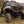 SuperATV rear vented windshield on a Kawasaki Teryx KRX 1000, angle view