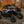 SuperATV rear windshield on a Kawasaki Teryx KRX 1000, detail view