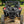 SuperATV rear windshield on a Kawasaki Teryx KRX4 1000, installed close-up