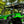 SuperATV MaxDrive power flip windshield on a Kawasaki Teryx, cab view