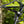 SuperATV MaxDrive power flip windshield on a Kawasaki Teryx, detail view